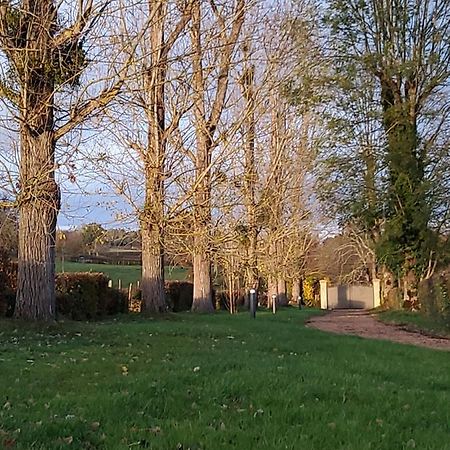 Les Tilleuls De Marie Saint-Edmond Luaran gambar